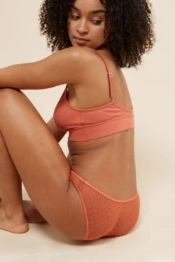 Culotte Tulle Plumetis - Terracotta -Optimal Lingerie Magasin 2021 02 08 WE ARE JOLIES01343
