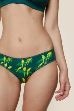 Culotte Coton BIO - Perroquets