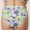 Culotte Taille Haute Coton BIO - Rainbow Green 1 Culotte Taille Haute Coton BIO - Rainbow Green -Optimal Lingerie Magasin 230413 WAJ eshop70