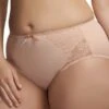 Culotte Grande Taille Avec Dentelle Elomi Hermione Beige 1 Culotte Grande Taille Avec Dentelle Elomi Hermione Beige -Optimal Lingerie Magasin culotte grande taille elomi hermione beige