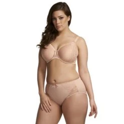 Culotte Grande Taille Avec Dentelle Elomi Hermione Beige -Optimal Lingerie Magasin culotte grande taille elomi hermione beige 3