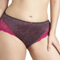 Culotte Elomi Jocelyn Framboise/gris